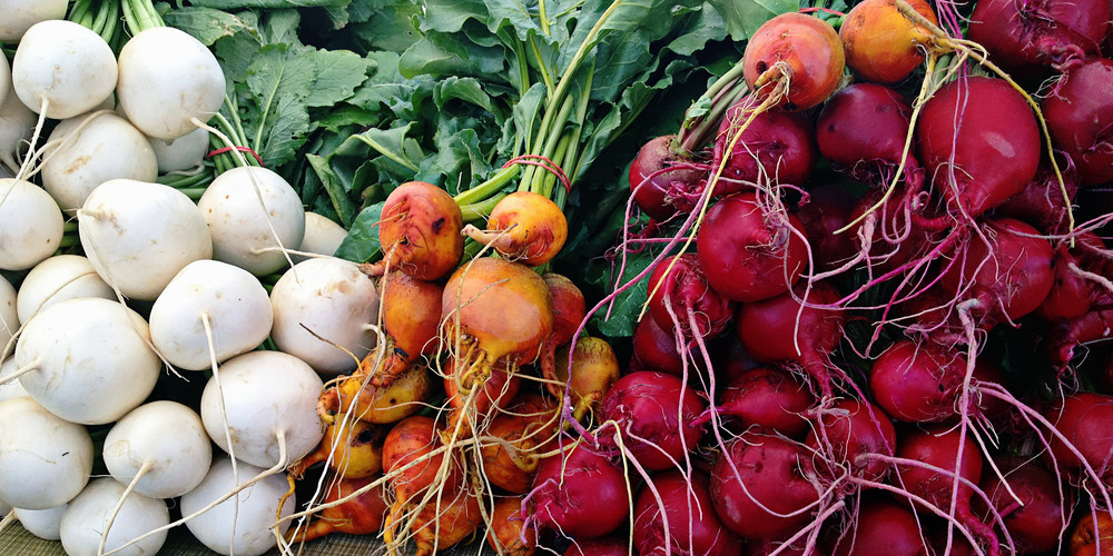 Colorful bunch of radishes photograph. 