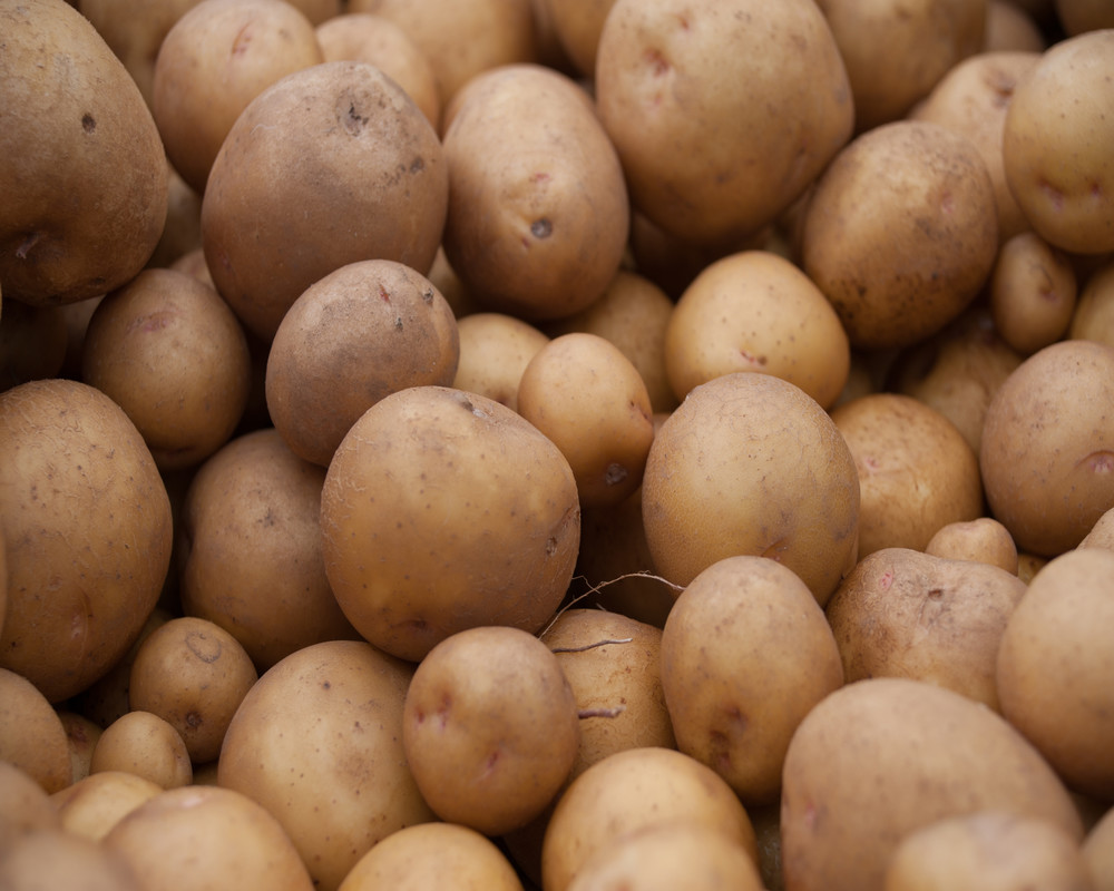 Potatoes in a pile photograph