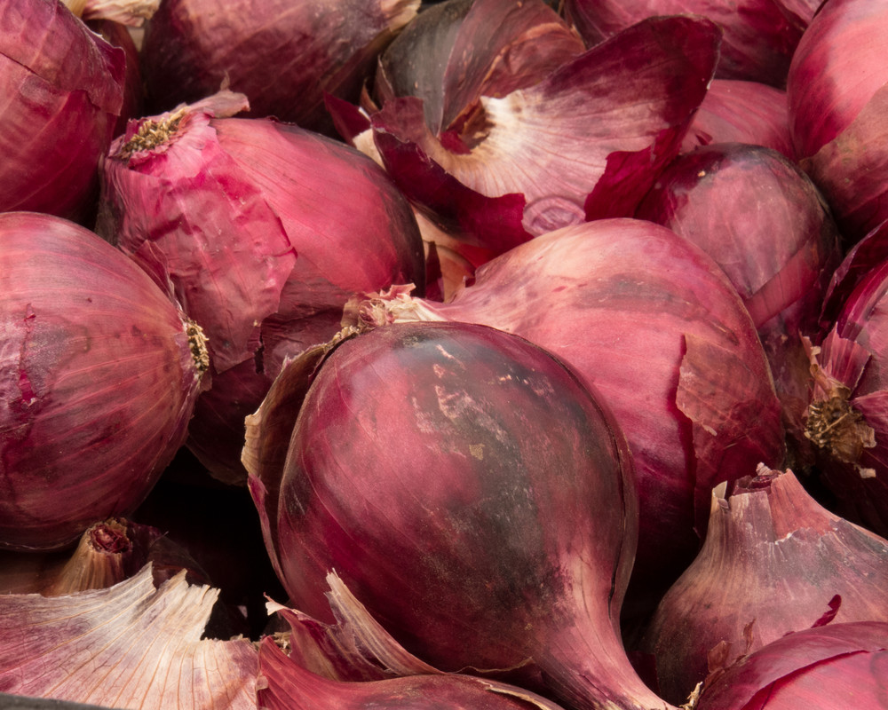 Red Onions in a pile at the farmers market photograph. 
