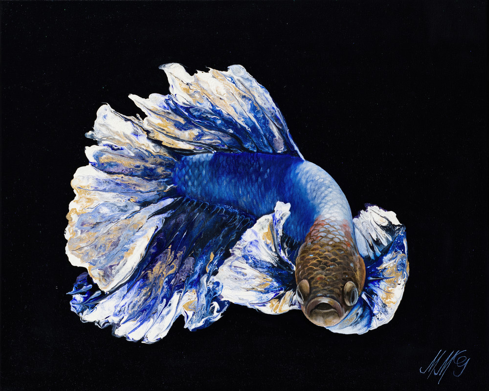 Sapphire Betta Art | MMG Art Studio | Fine Art Colorado Gallery Sapphire Betta Art | MMG Art Studio | Fine Art Colorado Gallery