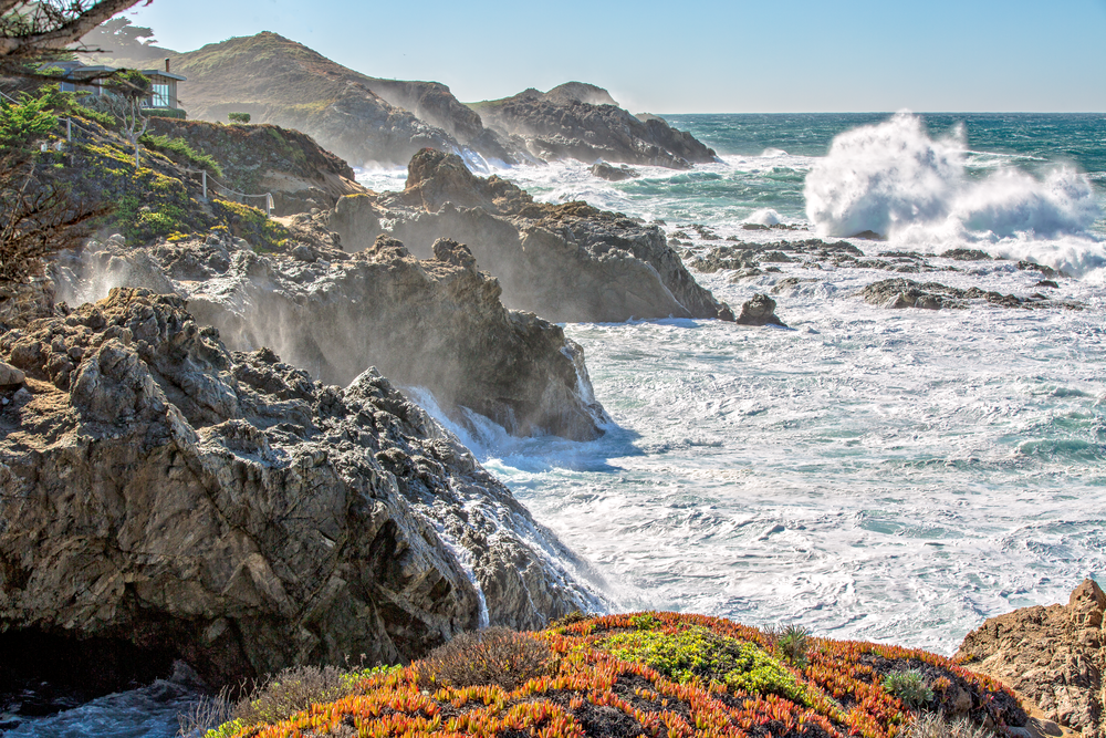 Private Pacific Shoreline Ii Art | JRootGallery.com