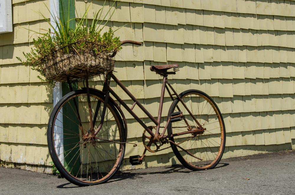 Basket plant bike