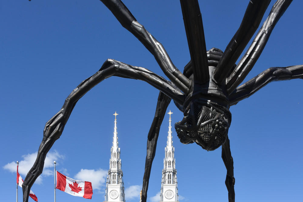 Ottawa spider