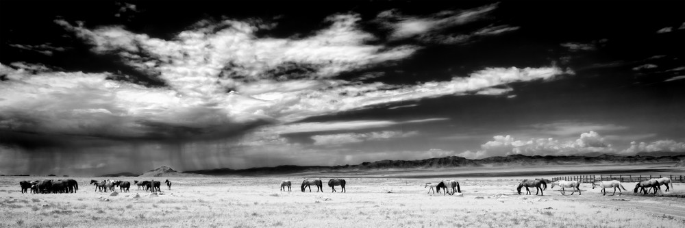 On The Desert Photography Art | BRosenleaf Art