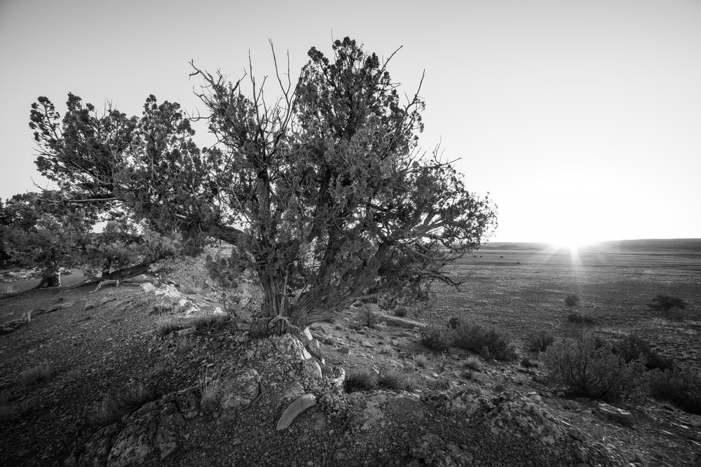 Desert Sunrise Photography Art | Andy Crawford Photography - Fine-art photography