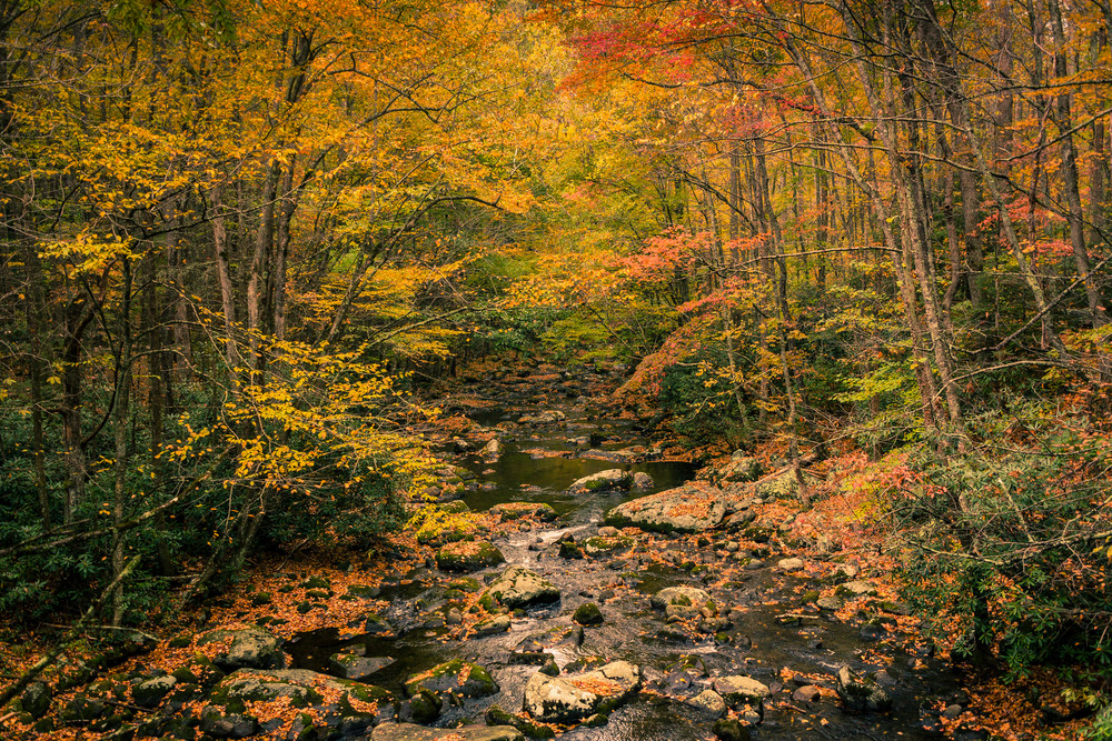 Smoky Mountain Autumn Photography Art | BRosenleaf Art