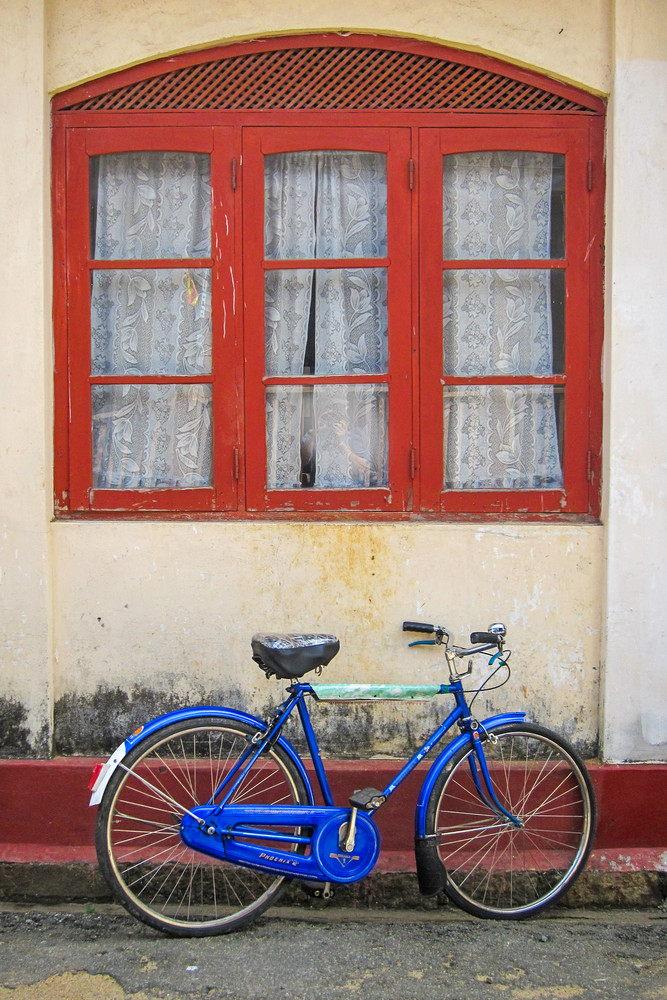 Blue bike red window