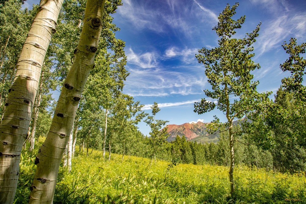 Aspen Mountains  6814 C S19  Photography Art | Koral Martin Healthcare Art