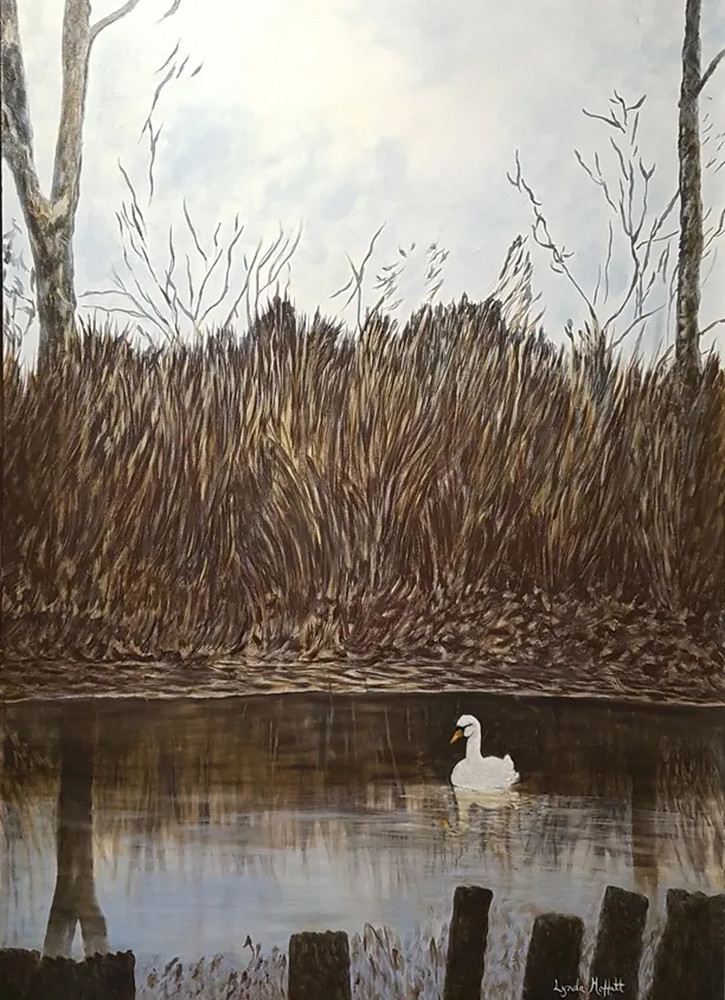 Swan On Guard! Art | Lynda Moffatt Fine Arts