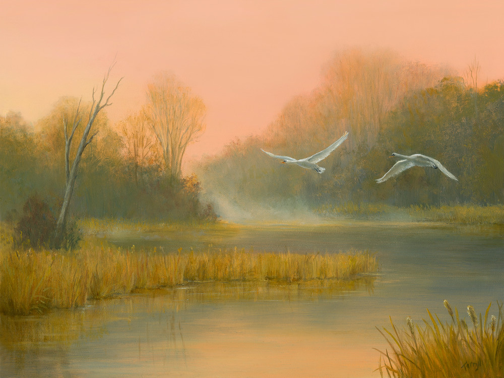 Autumn In The Marsh With Swans Flying Overhead Art | Tarryl Fine Art