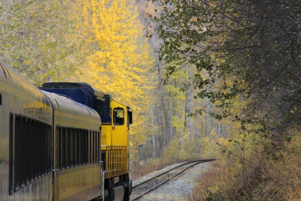 Alaska Railroad Fall Photography Art | Visionary Adventures, LLC