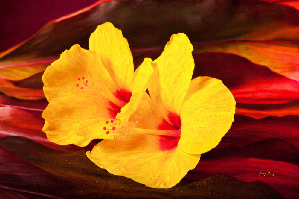 Yellow Hibiscus Photography Art | JERRY GRIGORY ART