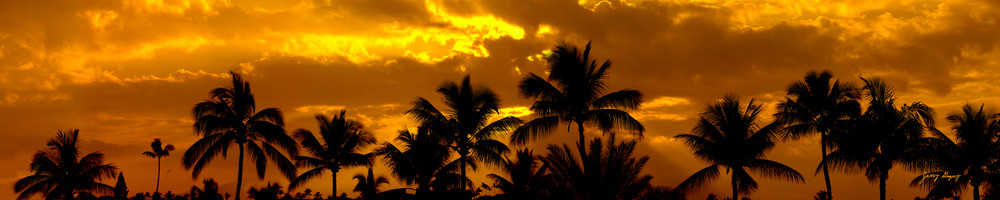 5006 Sunset Palm Trees Photography Art | JERRY GRIGORY ART