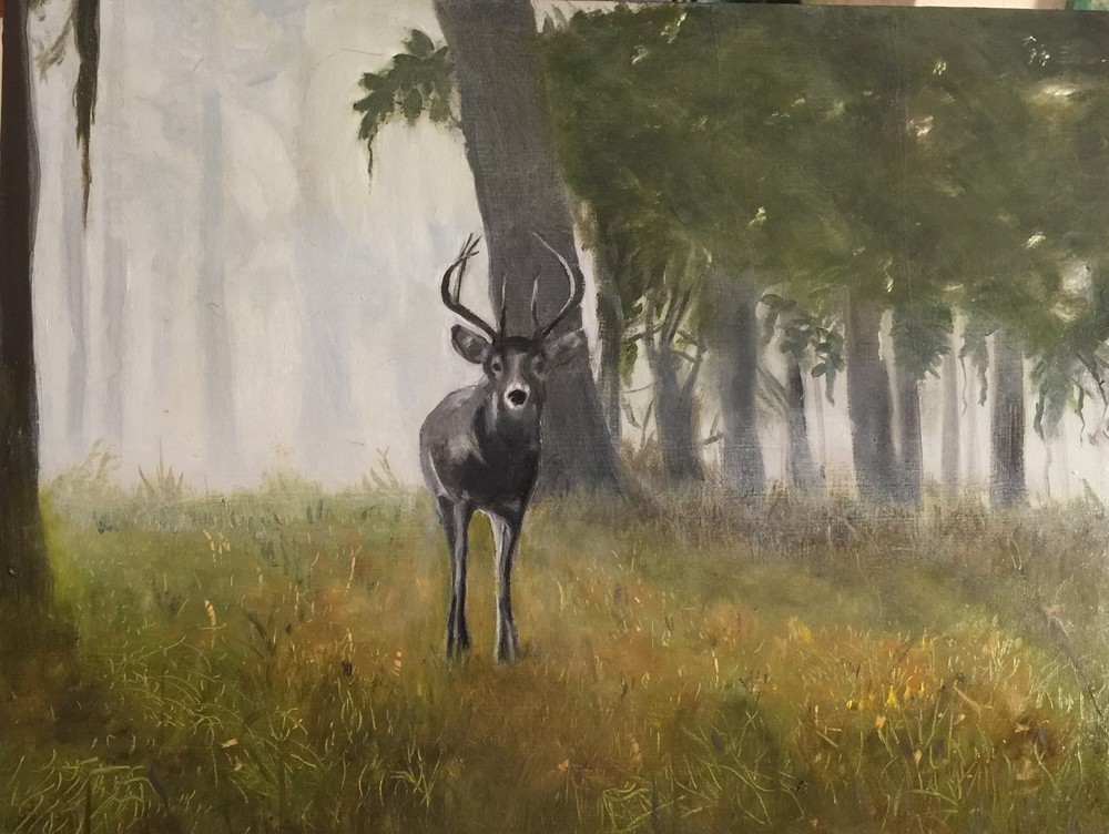 Deer Morning Art | Scott Dyer Fine Art