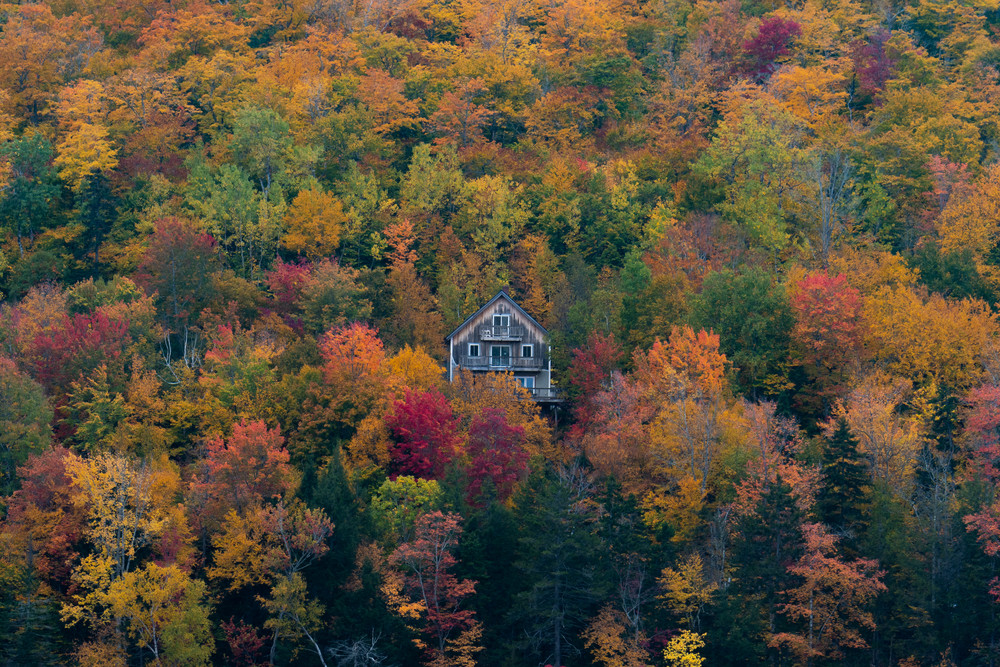 Autumn In Maine Photography Art | Jesse MacDonald Photography