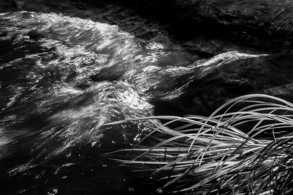 Stream And Grasses Waving Photography Art | Michael Penn Smith - Vision Worker