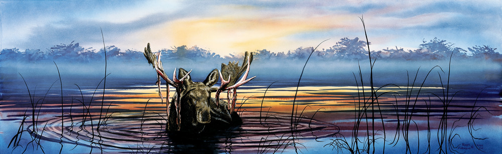Lake Snoozin' Moose Art Print of life in Yellowstone Park by Joe Ziolkowski