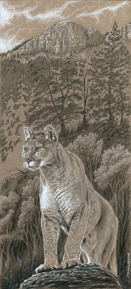 "Grounds Keeper" a fine art print of a mountain lion by Montana artist Joe Ziolkowski.