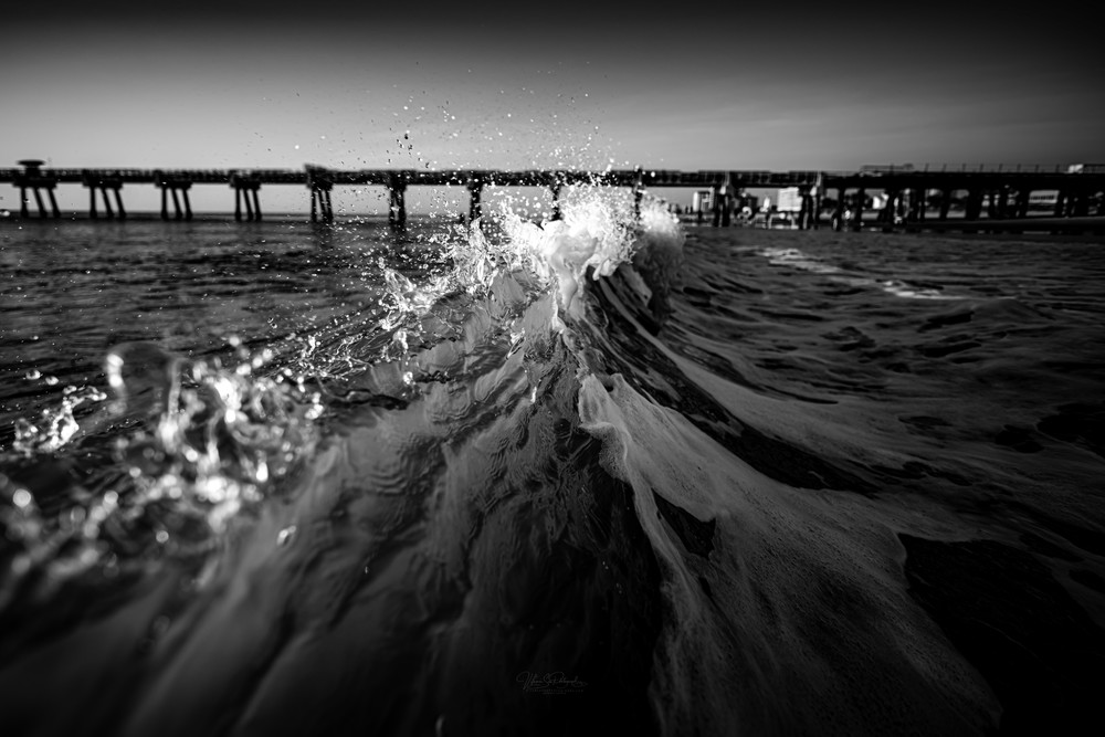 Dash Of Salt Photography Art | Vitamin Sea Photography