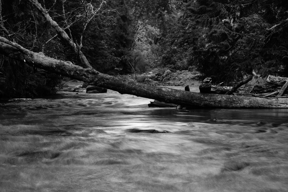 Lyre River No. 4, Olympic Peninsula, Washington, 2013