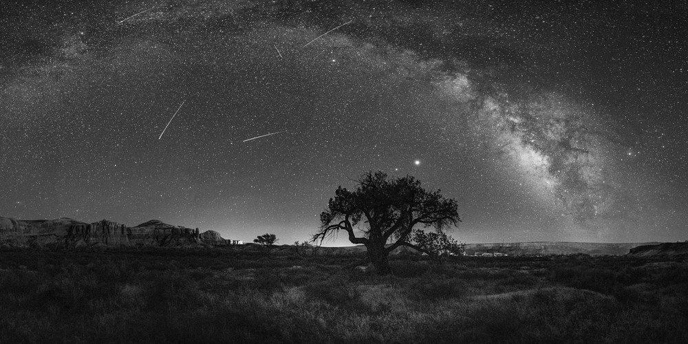 Milky Way Over The Hanging Tree Photography Art | John Gregor Photography