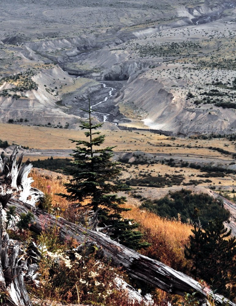 Fifty Years Later Mt. Saint Helens Photography Art | KAT MILLER-PHOTO ARTIST