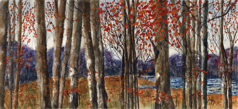 Autumn   Halton Hills Art | Sharon Bacal - Fine Art