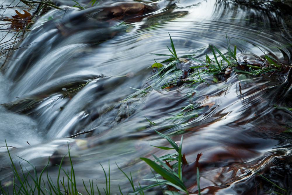 Grass Stream Photography Art | Michael Penn Smith - Vision Worker