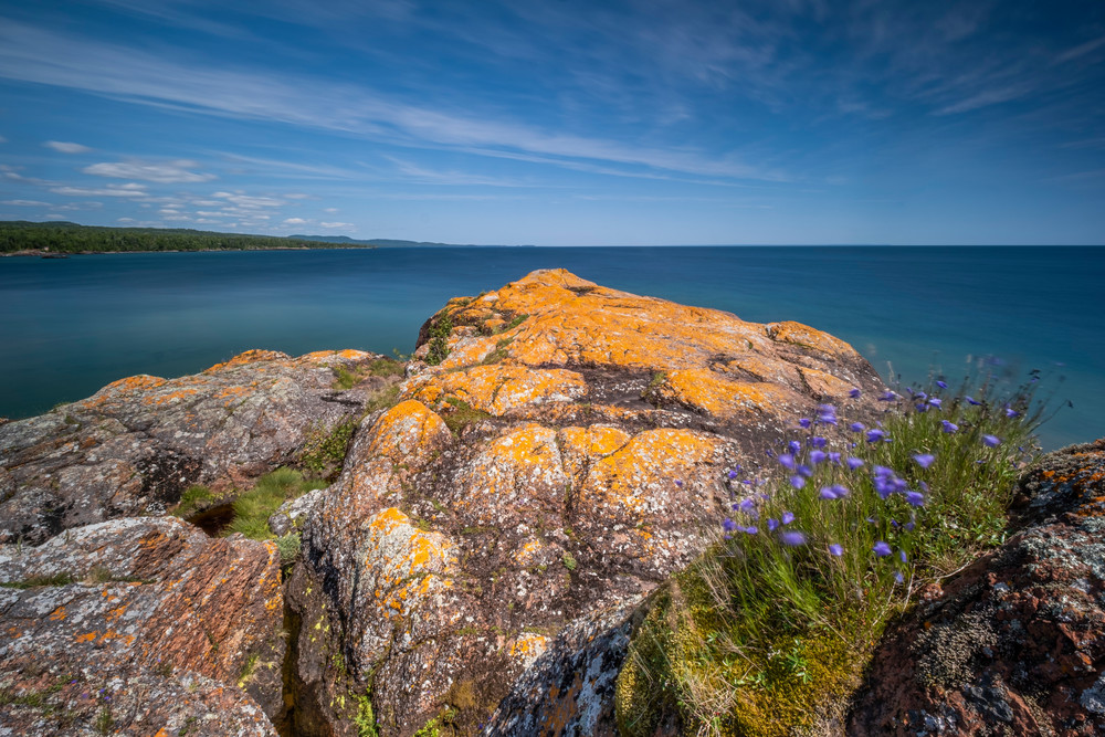 Lichen & Harebells, Red Rock Point, Lake Superior Photography Art | John Gregor Photography