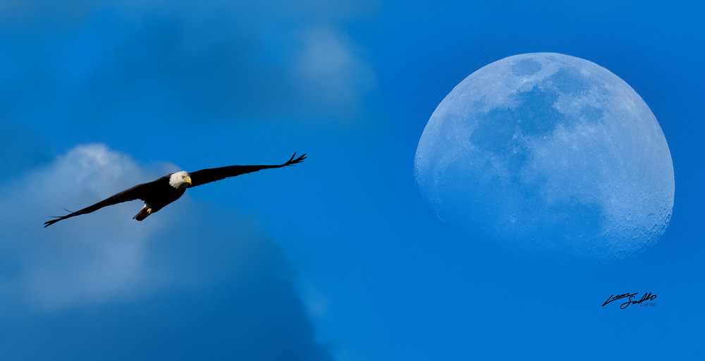 Eagle Moon  Photography Art | Whispering Impressions