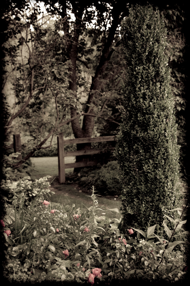 In The Formal Garden #2 Photography Art | David Frank Photography In The Formal Garden #2 Photography Art | David Frank Photography