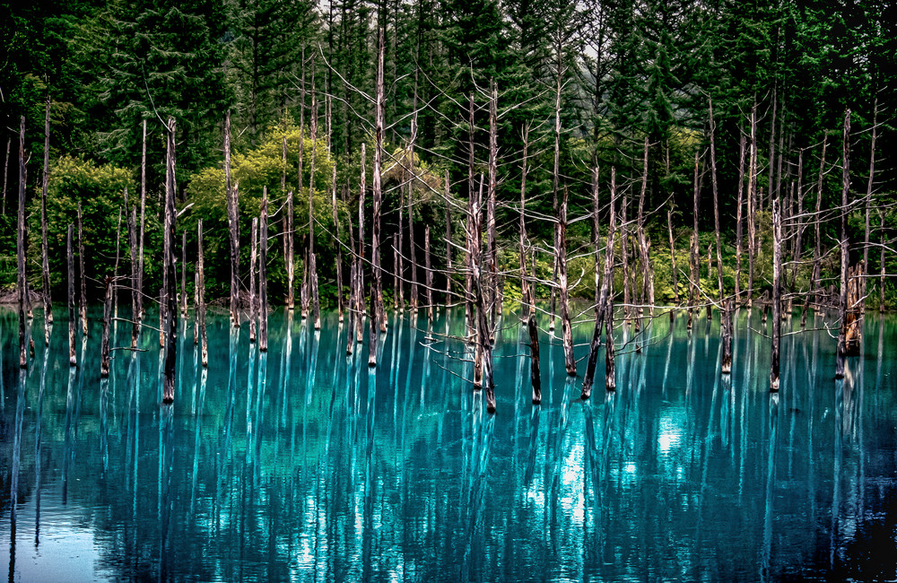 japan hokkaido blue-pond water blue landscape