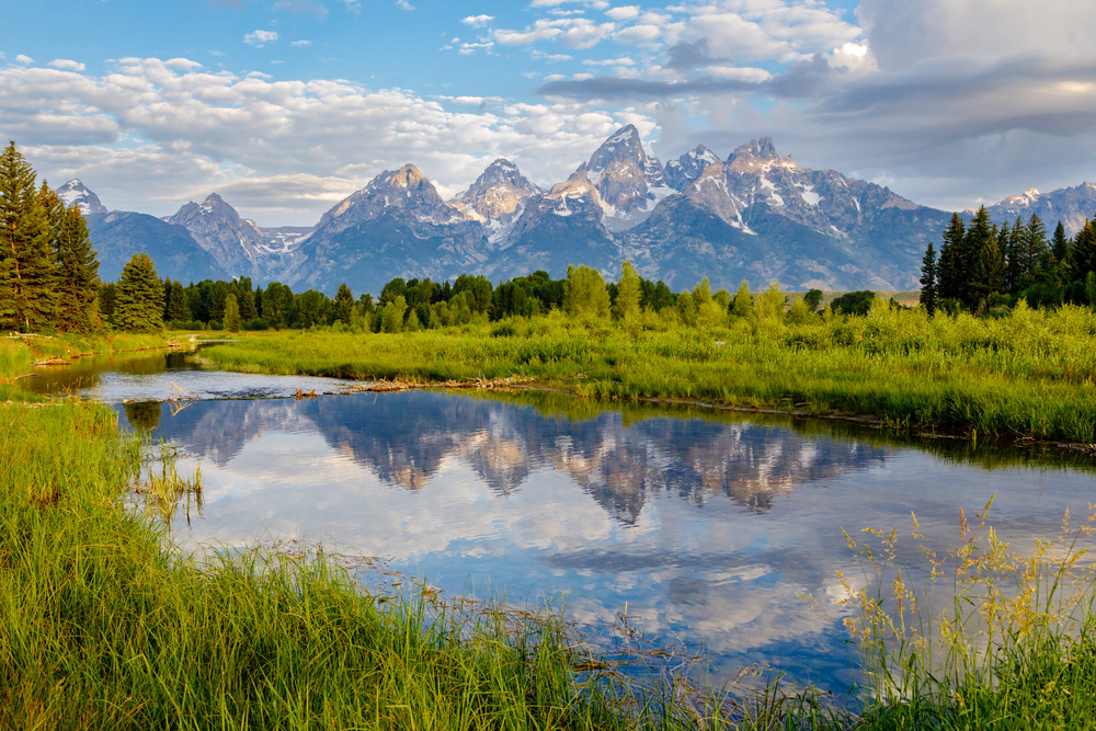 Snake River Reflections