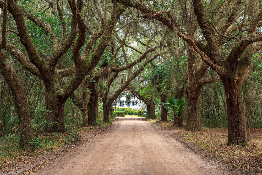 Coffin Point Plantation