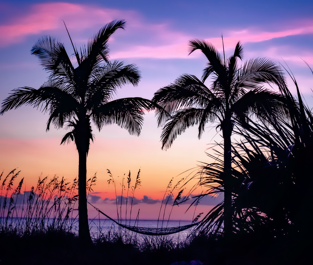 palm trees florida beach seascape