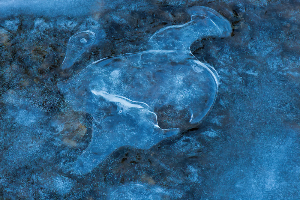Icy Blue Photography Art | Monty Orr Photography