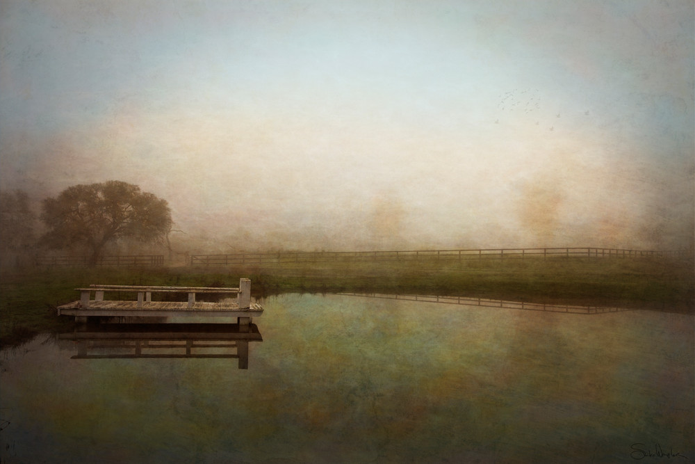 The Pond Art | Sondra Wampler | fine art