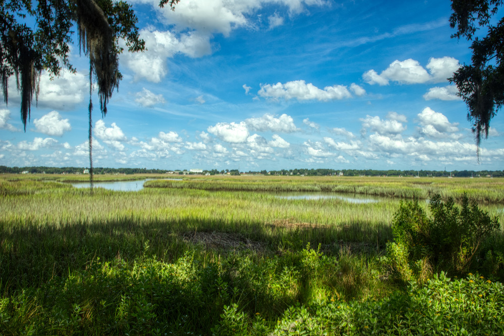 Lowcountry Afternoon Photography Art | Willard R Smith Photography