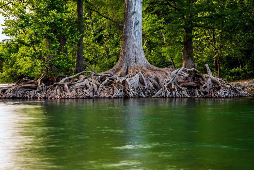 The Test Of Time Photography Art | J. Morris 683 Photography
