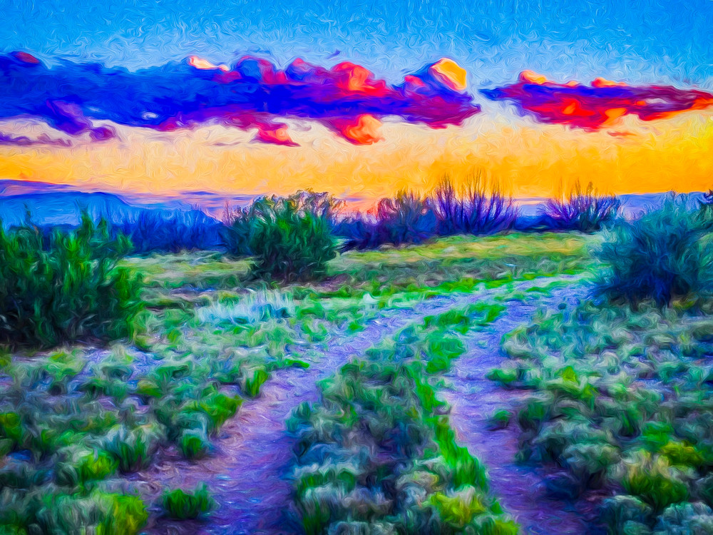 Sunrise-sunset, Cochiti Lake NM, road, path, converge