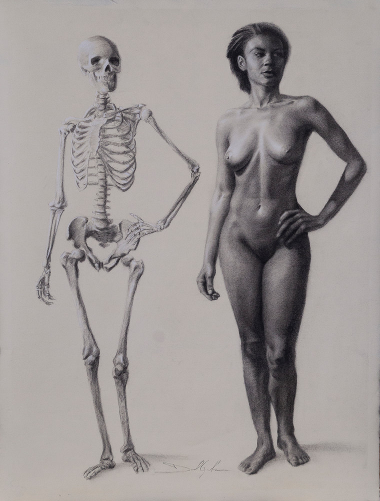 Academic Anatomy  Skeleton & Figure Art | Danielsartwork