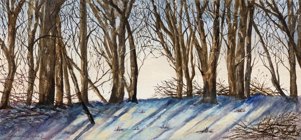 Winter Through The Trees Art | Sharon Bacal - Fine Art