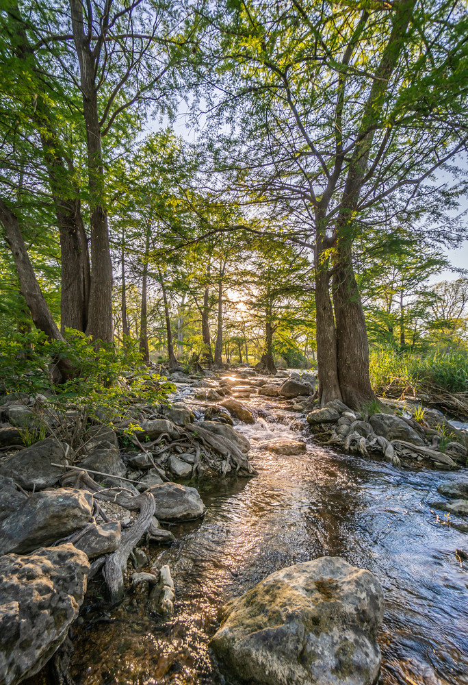 River Brook Sunlight Photography Art | Andres Photography