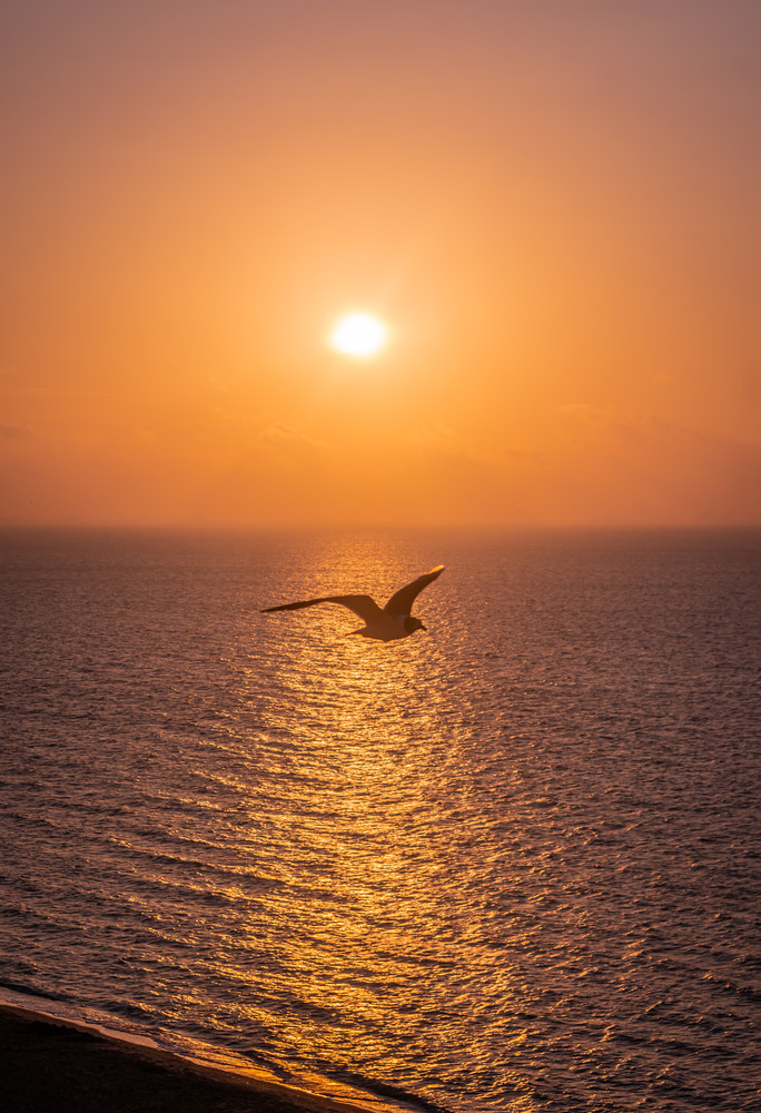 Sunset Flight Photography Art | Andres Photography