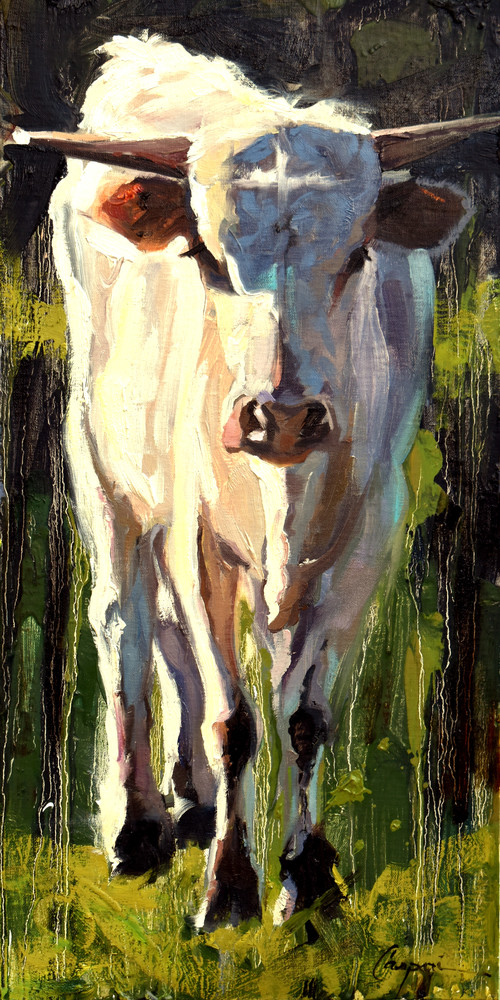 Bull Calf  Art | robincaspari