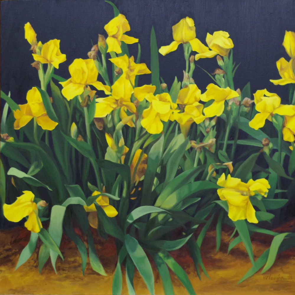 Yellow Iris Art | Helen Vaughn Fine Art