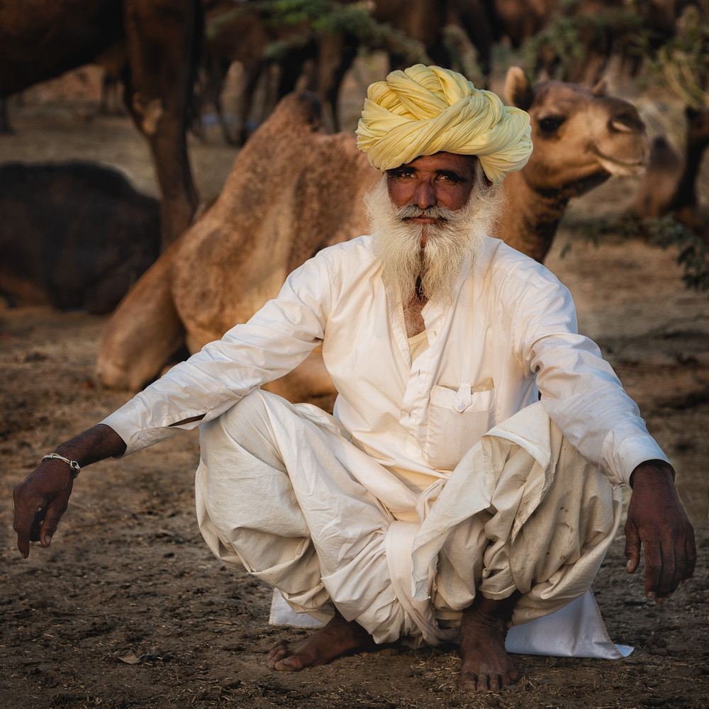 Man Squatting With Camels Photography Art | nancyney
