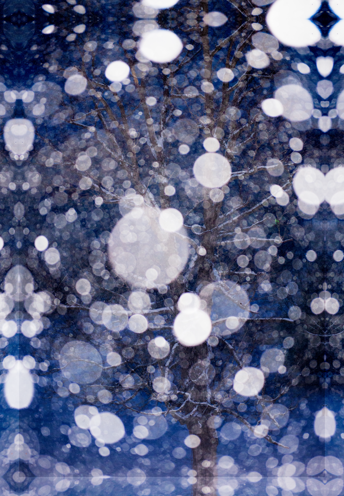 Snow Falling On Maple Photography Art | Hatch Photo Artistry LLC Snow Falling On Maple Photography Art | Hatch Photo Artistry LLC