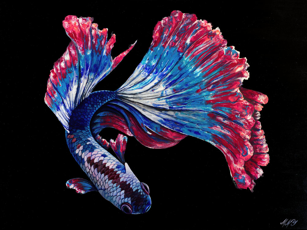 Freedom Betta Art | MMG Art Studio | Fine Art Colorado Gallery Freedom Betta Art | MMG Art Studio | Fine Art Colorado Gallery