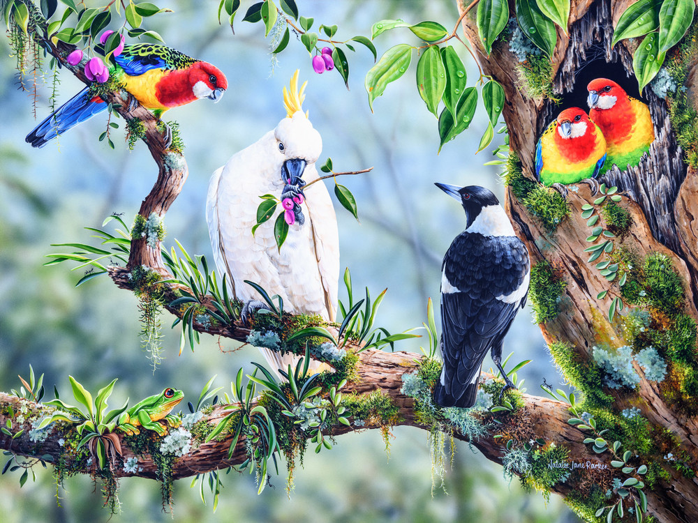 Australian Magpie (Gymnorhina tibicen), Eastern Rosellas (Platycercus eximius) and a Red-eyed Tree Frog (Litoria chloris) Australian Wildlife Art by Natalie Jane Parker